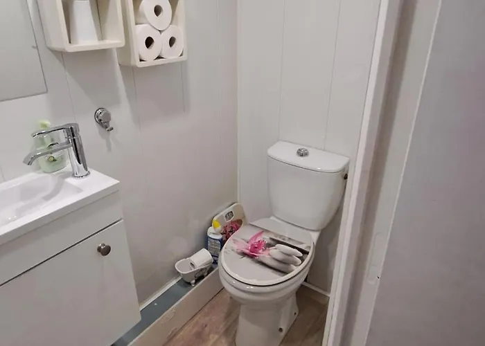 T1 Bis Independant Dans Maison Individuelle Διαμέρισμα Αλμπί