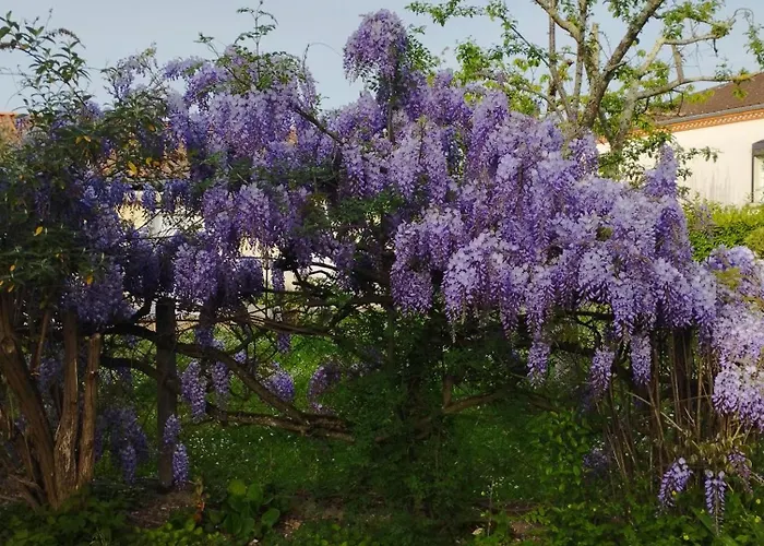 T1 Bis Independant Dans Maison Individuelle * Αλμπί