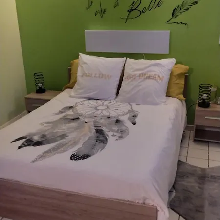 Daire T1 Bis Independant Dans Maison Individuelle Albi