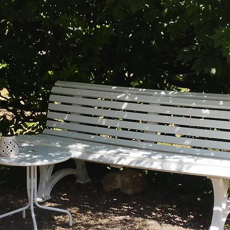 Daire T1 Bis Independant Dans Maison Individuelle Albi