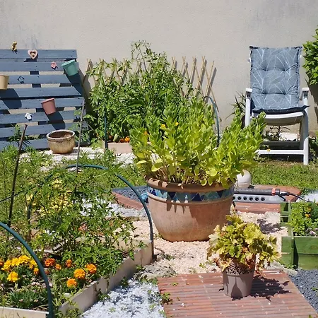 T1 Bis Independant Dans Maison Individuelle * Albi