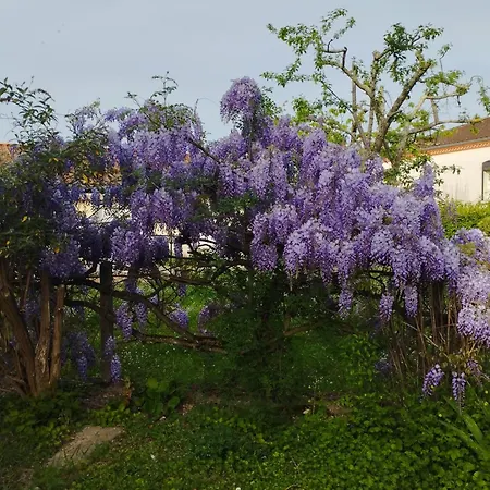 T1 Bis Independant Dans Maison Individuelle * ألبي