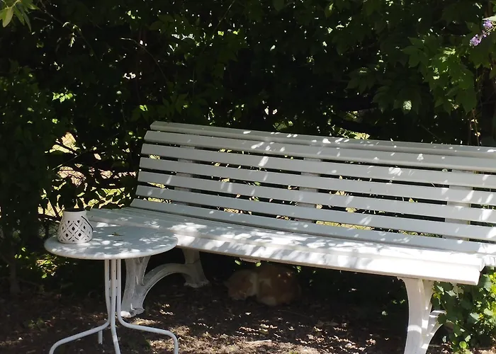 Διαμέρισμα T1 Bis Independant Dans Maison Individuelle Αλμπί